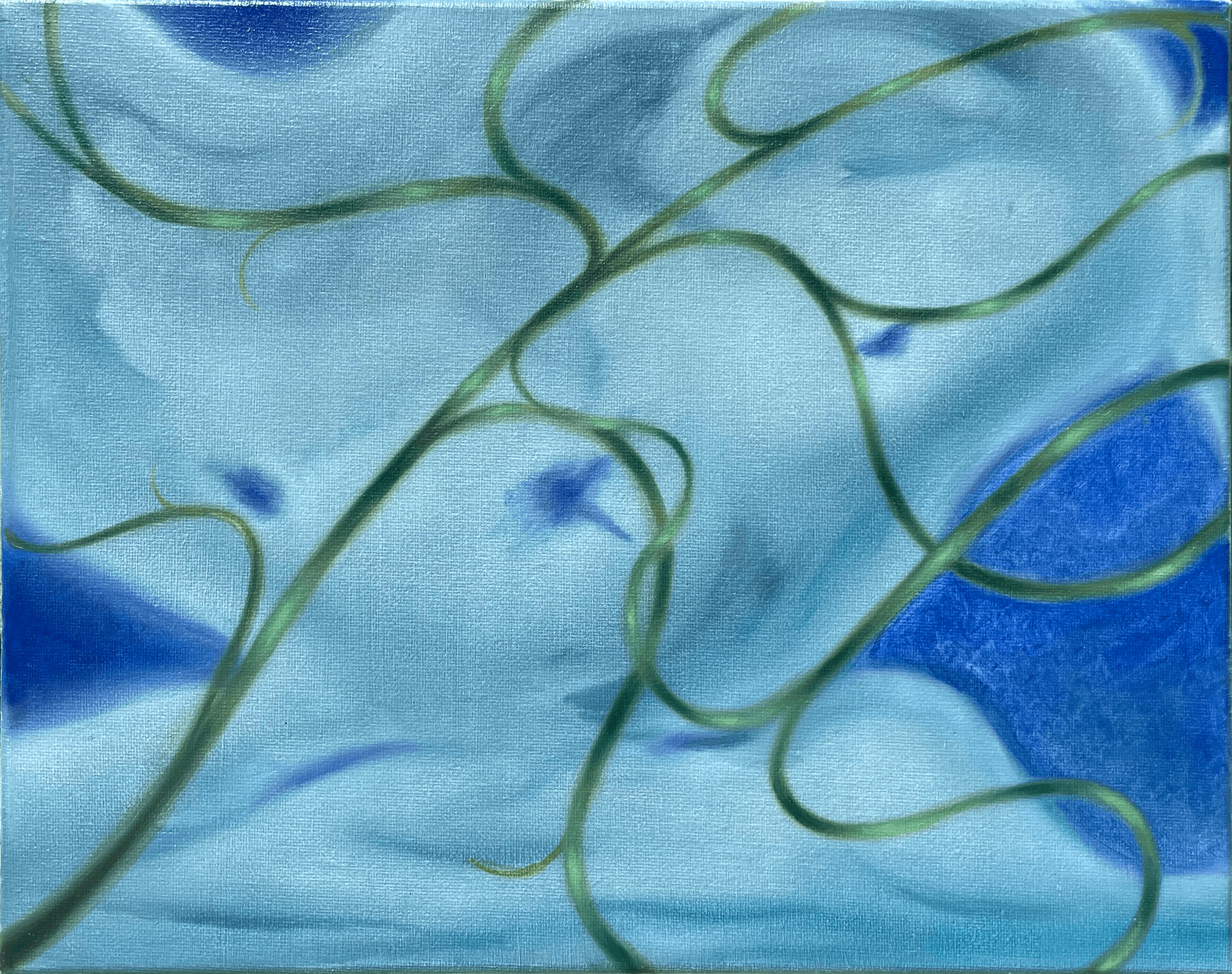 Vine